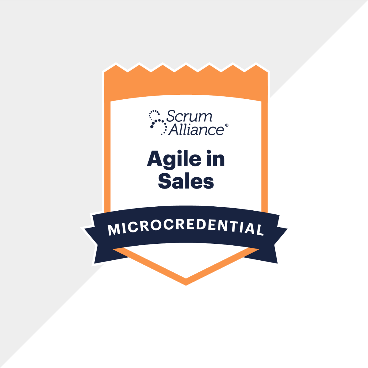 Agile in Sales, December 15